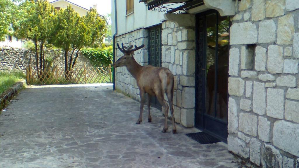 Appartamenti De Sanctis Villetta Barrea Exterior photo